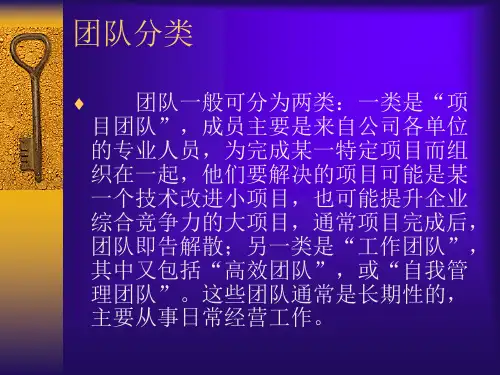 团队建设与团队管理