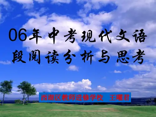 2006年中考现代文专题分析语文课件PPT
