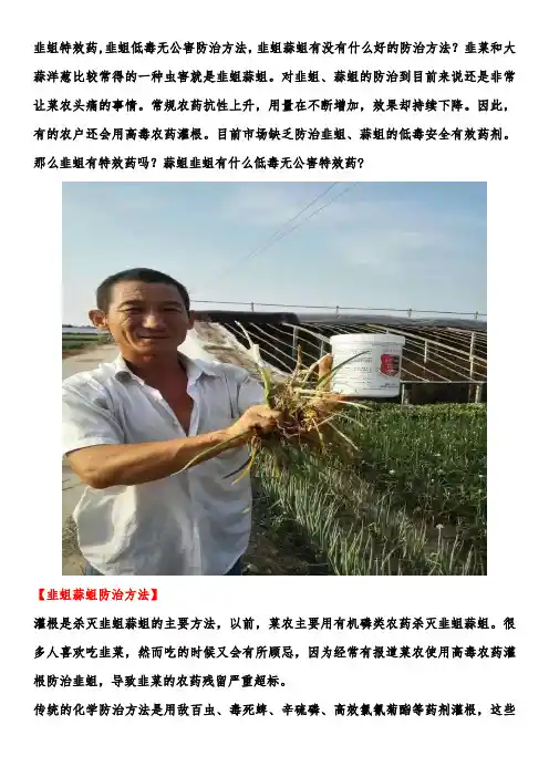 韭蛆特效药