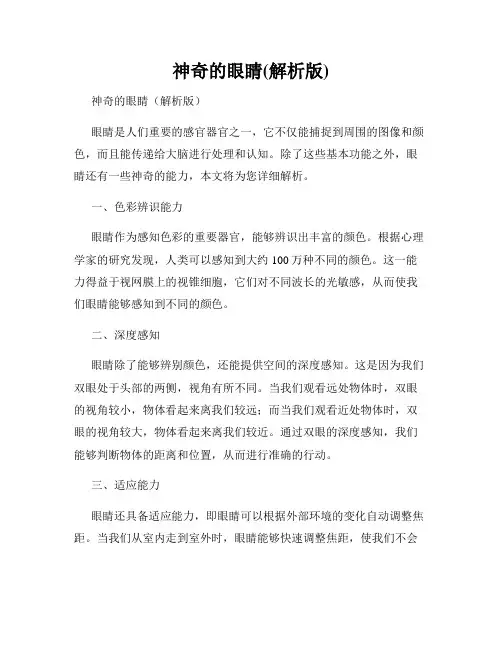 神奇的眼睛(解析版)