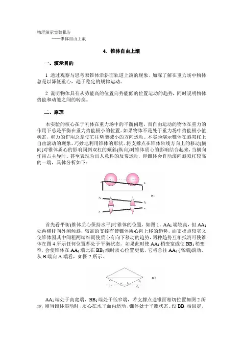 物理演示实验报告