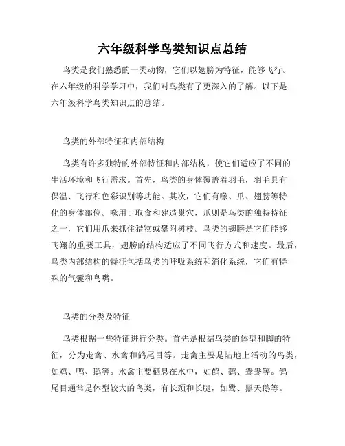 六年级科学鸟类知识点总结