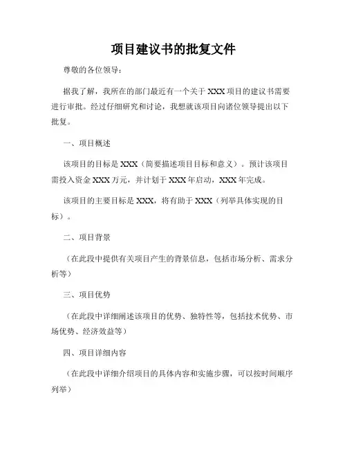 项目建议书的批复文件