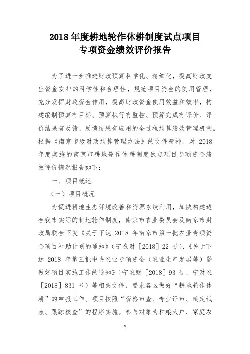 专项资金绩效评价报告