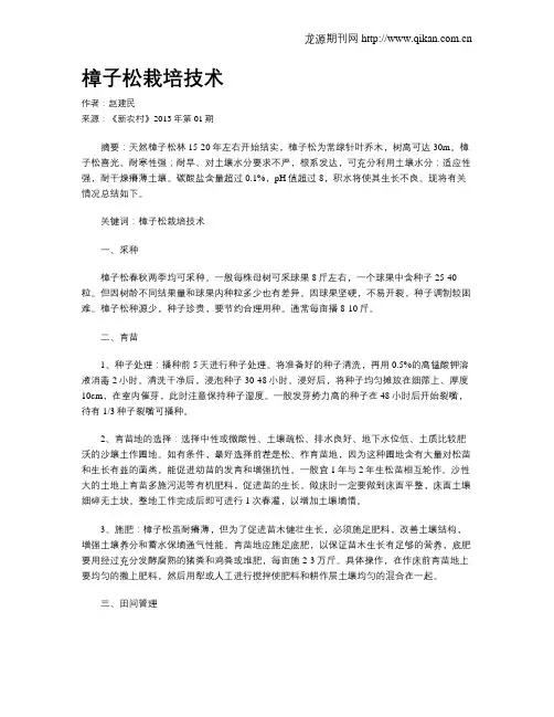 樟子松栽培技术