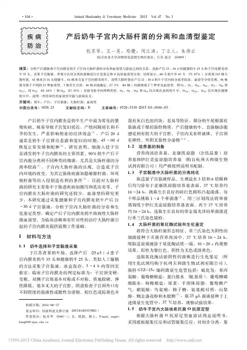 产后奶牛子宫内大肠杆菌的分离和血清型鉴定