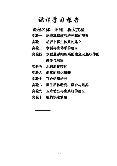 生物技术细胞工程实验报告