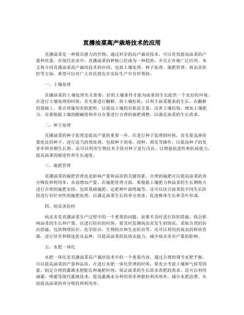 直播油菜高产栽培技术的应用
