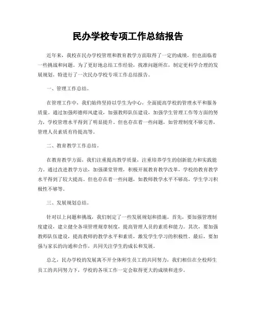 民办学校专项工作总结报告