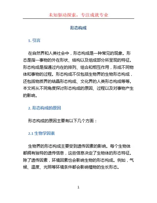 形态构成文档