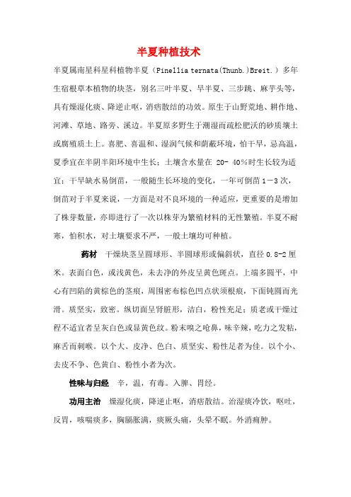 旱半夏种植技术