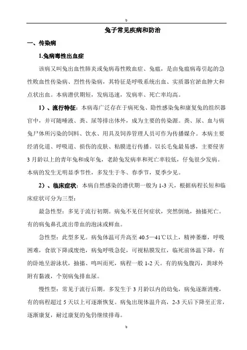 兔子常见疾病预防与治疗..