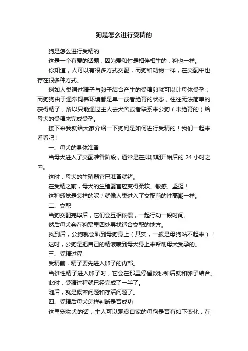 狗是怎么进行受精的