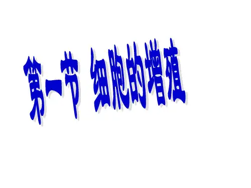 高一生物必修1-细胞的增殖ppt课件.ppt