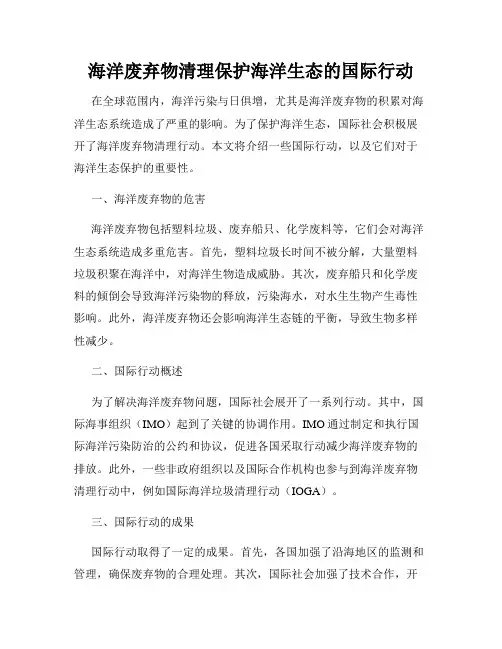 海洋废弃物清理保护海洋生态的国际行动