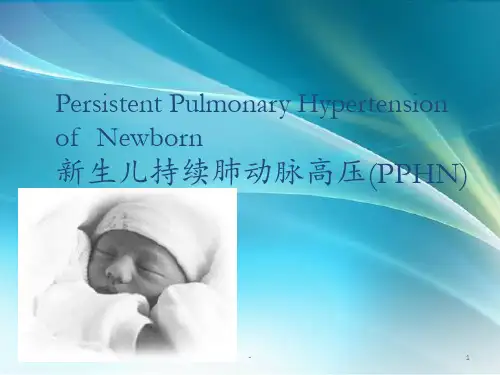 新生儿肺动脉高压ppt课件