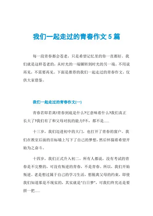 我们一起走过的青春作文5篇