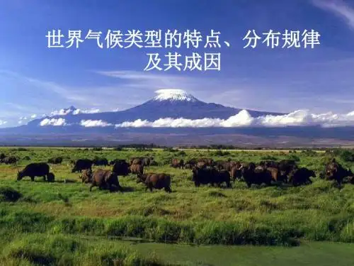 世界气候类型的分布与成因