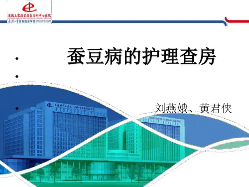 蚕豆PPT课件