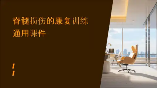 脊髓损伤的康复训练通用课件
