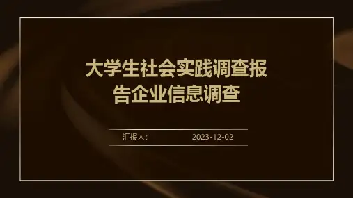 大学生社会实践调查报告企业信息调查