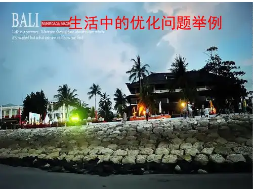 生活中的优化问题举例(三课时)