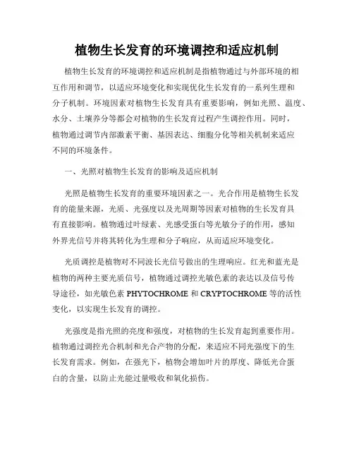 植物生长发育的环境调控和适应机制