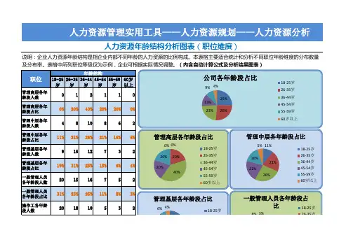 人力资源年龄结构分析图表格