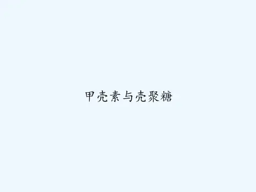 甲壳素与壳聚糖 PPT