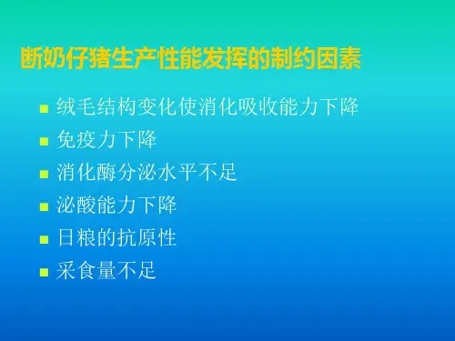仔猪阶段营养配方与制作60页PPT