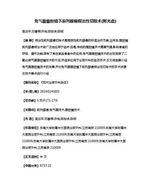 免气腹腹腔镜下前列腺癌根治性切除术(附光盘)