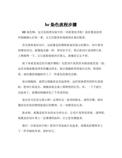 he染色流程步骤
