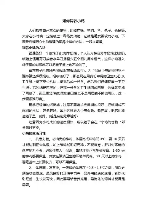 如何饲养小鸡