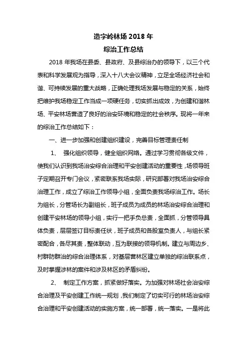 综治工作总结2018