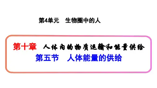 4.10.5 人体能量的供给(课件)七年级生物下学期同步课堂系列(苏教版)