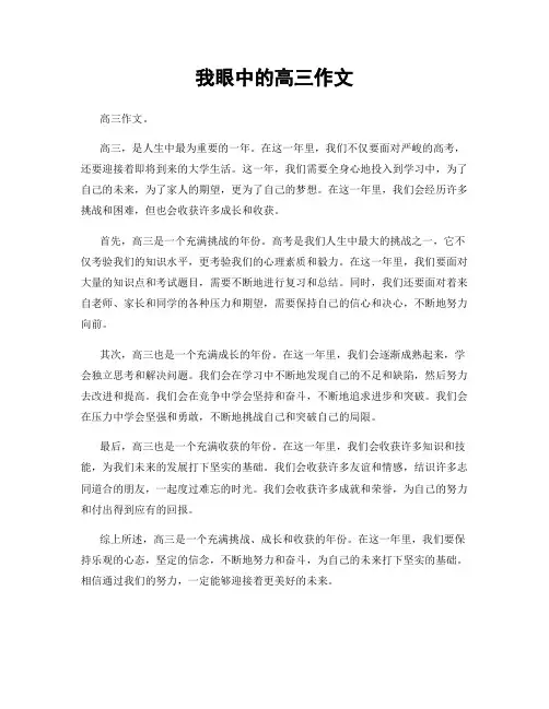 我眼中的高三作文