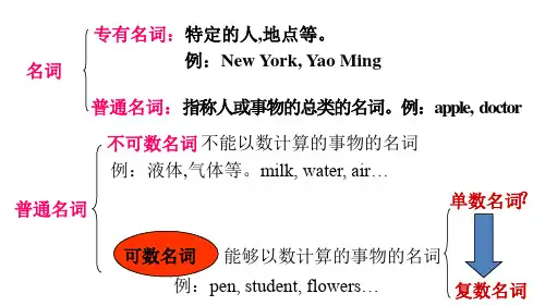 (PEP)六年级英语下册 小升初英语(全国通用)复习 名词