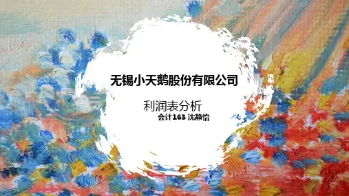 无锡小天鹅公司利润表分析