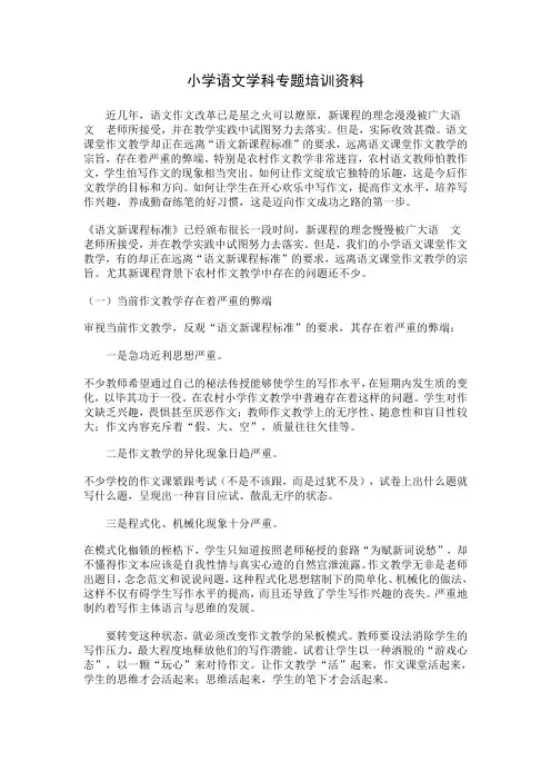 小学语文学科专题培训资料