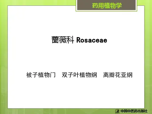 蔷薇科1看花识草辨药材