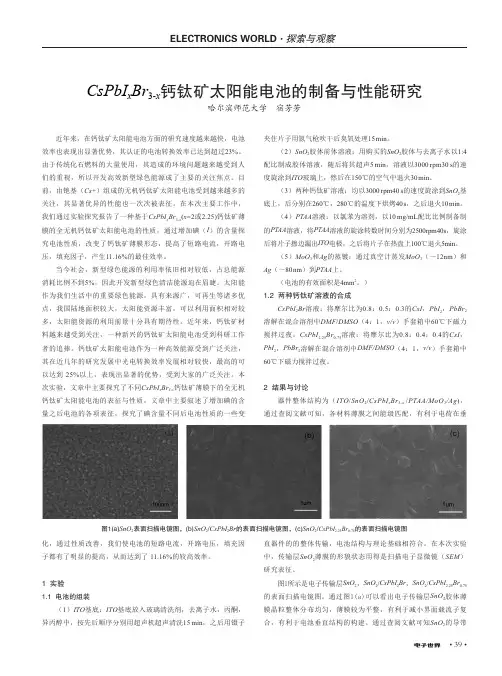 CsPbI_(x)Br_(3-x)钙钛矿太阳能电池的制备与性能研究