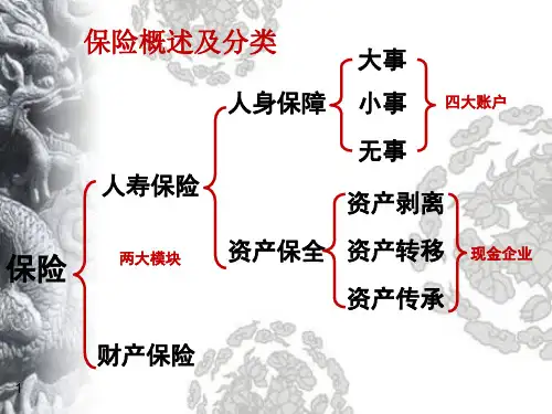 保险公司标准普尔图四大账户解说