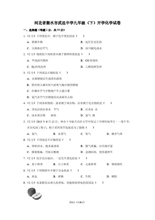 河北省衡水市武邑中学九年级(下)开学化学试卷 (2)