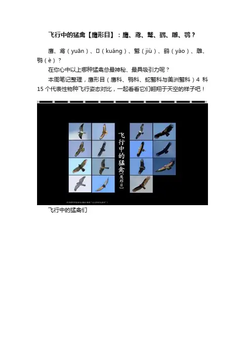 飞行中的猛禽【鹰形目】：鹰、鸢、鹫、鹞、雕、鹗？