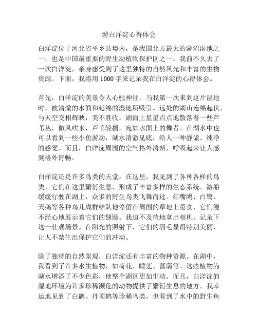 游白洋淀心得体会