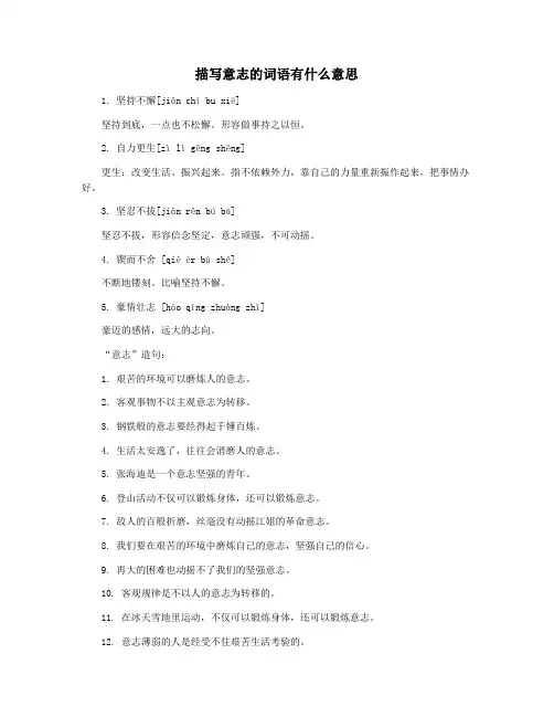 描写意志的词语有什么意思