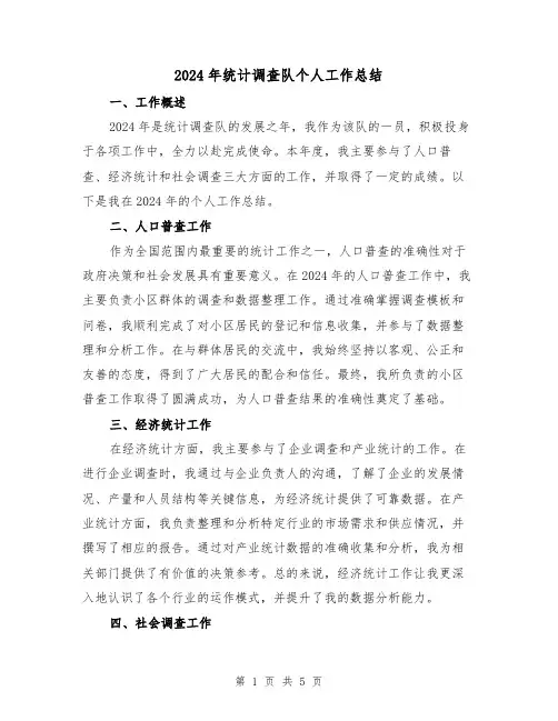 2024年统计调查队个人工作总结（2篇）