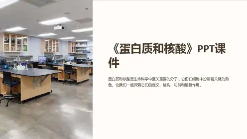 《蛋白质和核酸》课件
