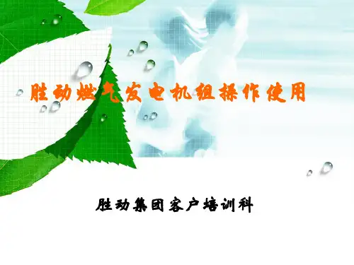 胜动燃气发电机组操作使用课件