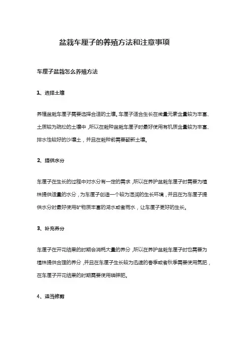 盆栽车厘子的养殖方法和注意事项
